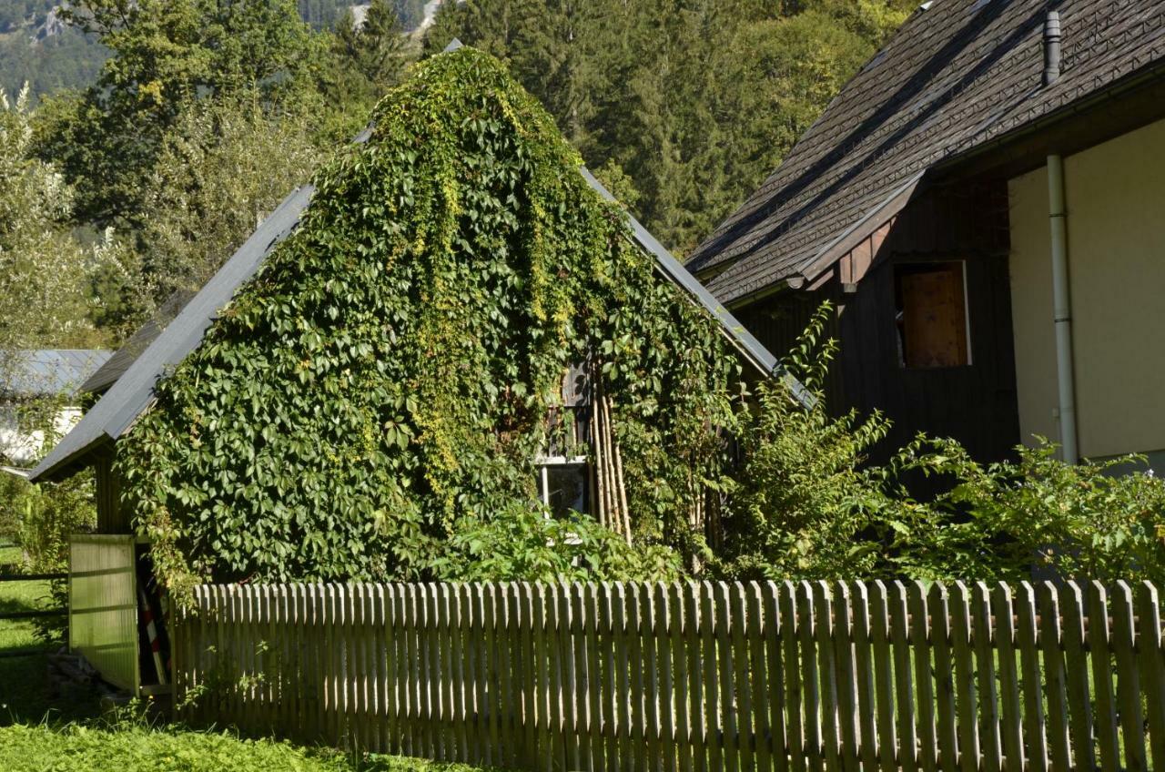 Haus Rosina Villa Admont Eksteriør billede
